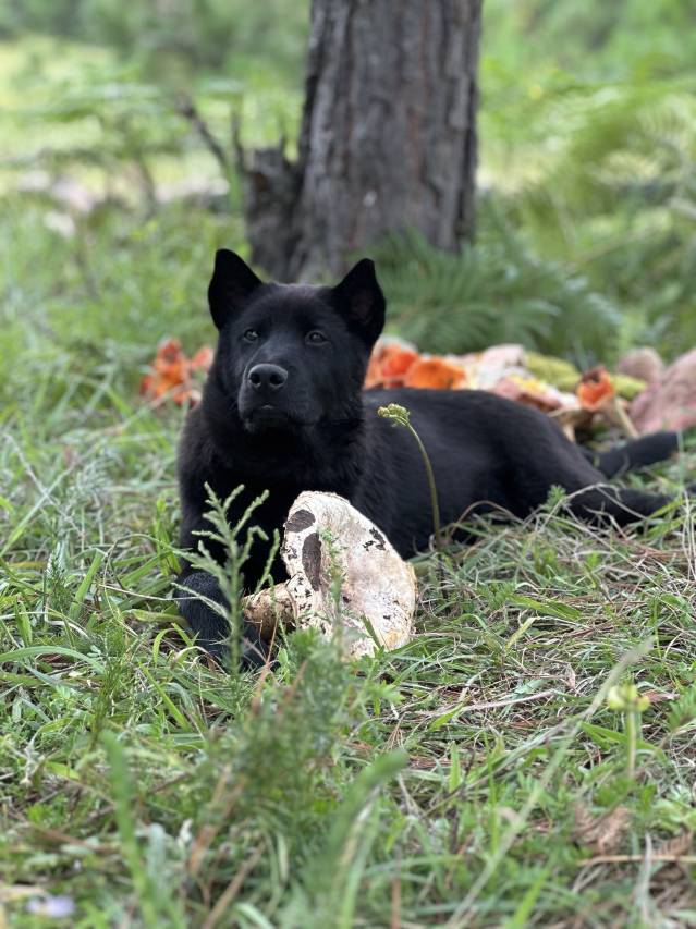 O'way青年旅舍(丽江古城大水车店)图片5