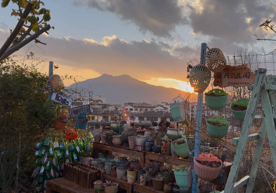 知鱼青年旅舍图片1