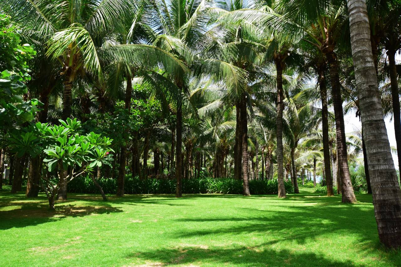 三亚海棠湾海边度假别墅(亚特免税城店)图片6