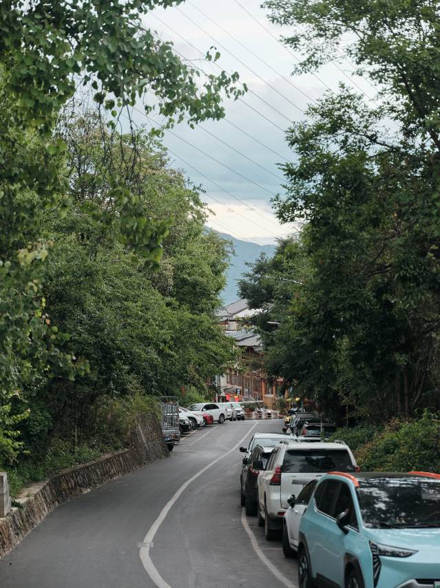 枫林度假庭院(丽江古城北门大水车店)图片7