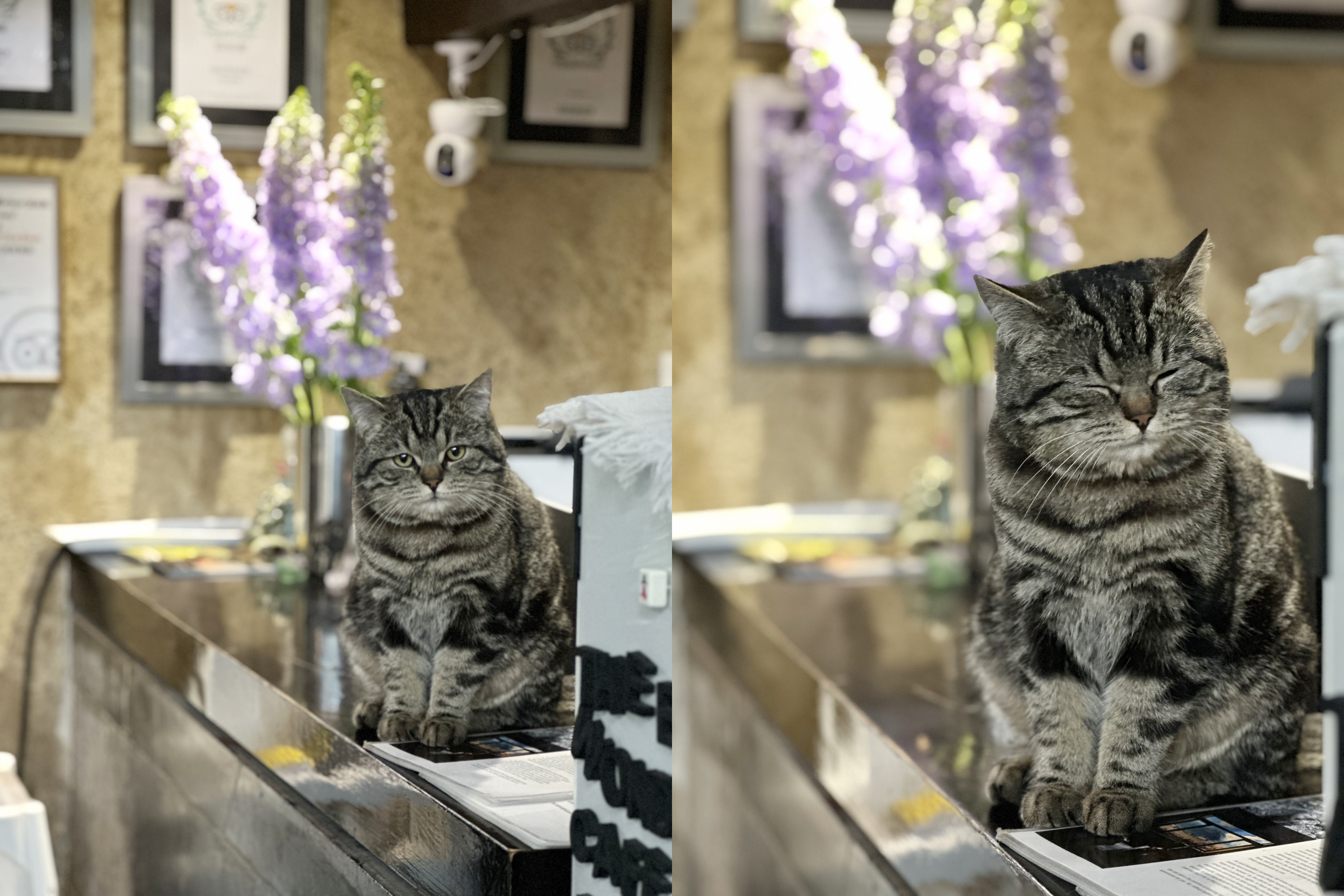 The Bivou 佖屋酒店图片8