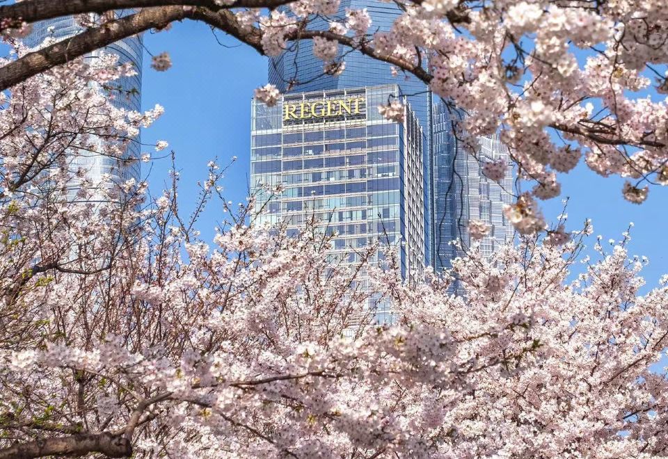 丽晶 上海 浦东图片