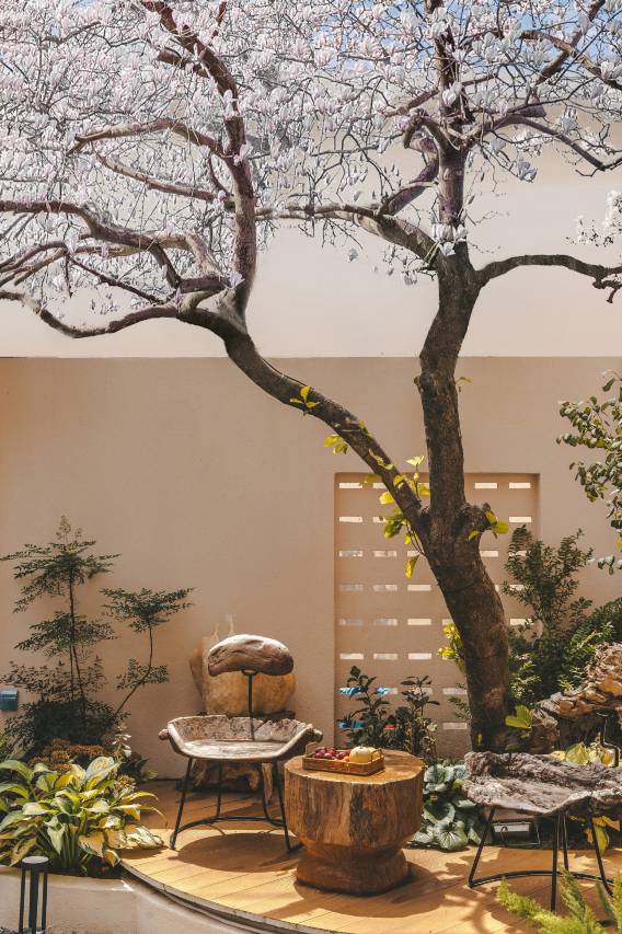 私席・丛庐设计美学酒店STADUSTLAND・COZYNITE(丽江古城大水车店)图片1